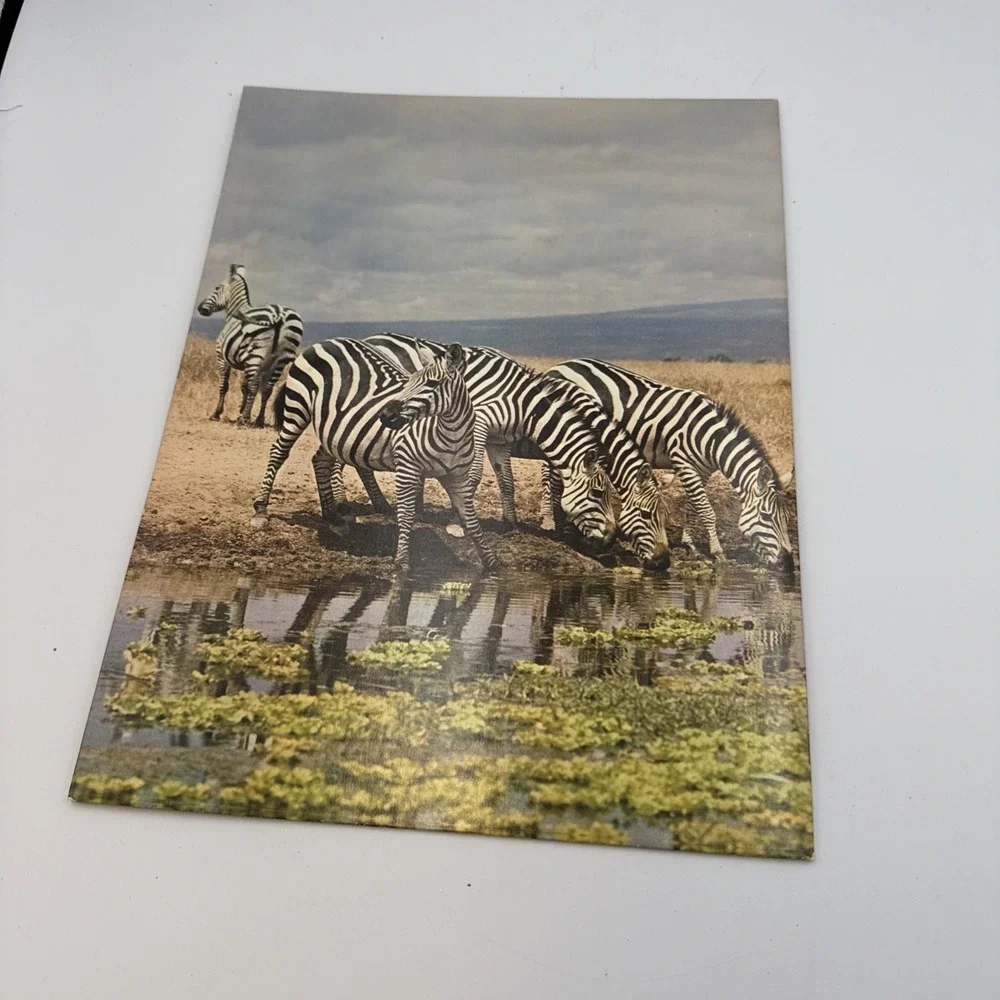 FRIENDS OF THE EARTH Hytone Portfolio Vintage Mead Folder‎ Zebras